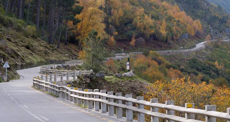 Route sinueuse à travers un paysage de forêt automnale.