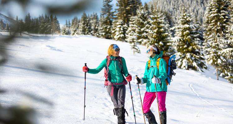 Dos personas con equipo de senderismo caminando en un bosque cubierto de nieve.