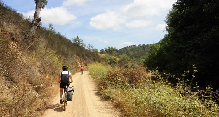 Des cyclistes sur un sentier de terre entouré d'arbustes secs and d'arbres.