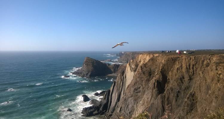 Des falaises côtières spectaculaires avec un oiseau volant au-dessus de l'océan.