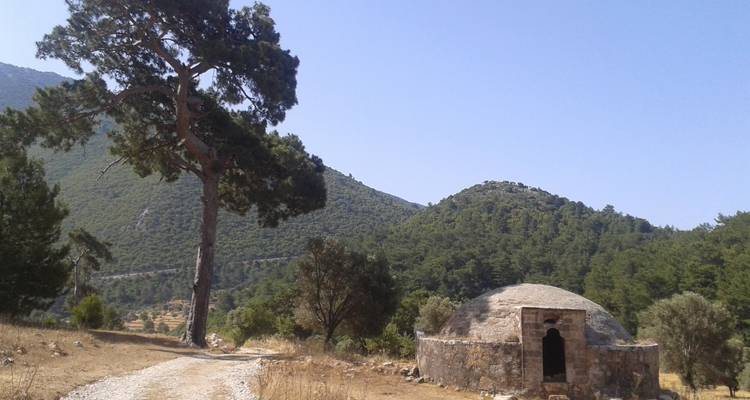 Stone structure with a domed roof by a large tree in a rural setting.