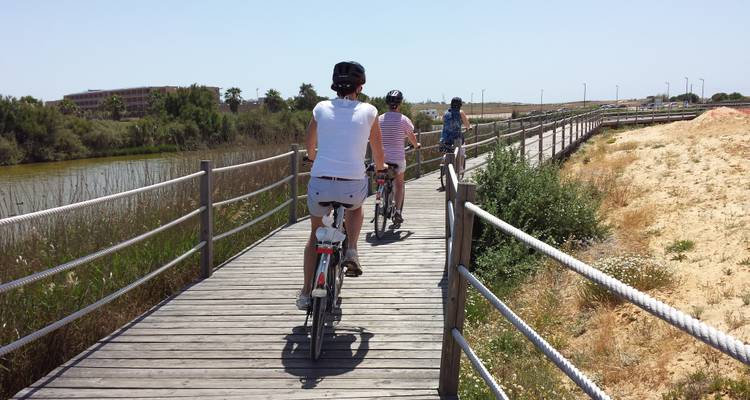 Des gens qui font du vélo sur un chemin en bois.