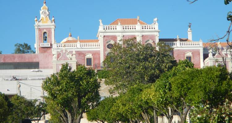 Bâtiment orné derrière les arbres.