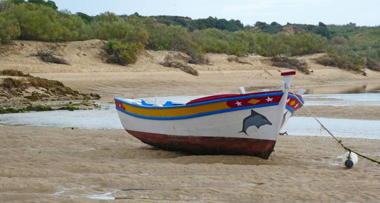 Bateau coloré sur une rive sablonneuse.