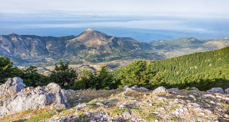 Mountain view with lush green trees and distant sea.