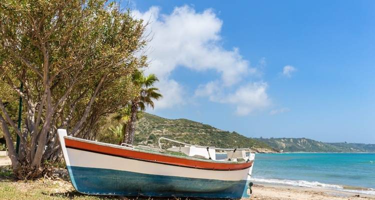 Boat on a beach next to trees.