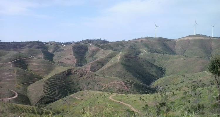 Paysage vallonné avec des éoliennes au loin.