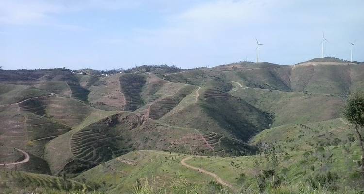 Collines vertes vallonnées avec des motifs en terrasses et des éoliennes sur les crêtes