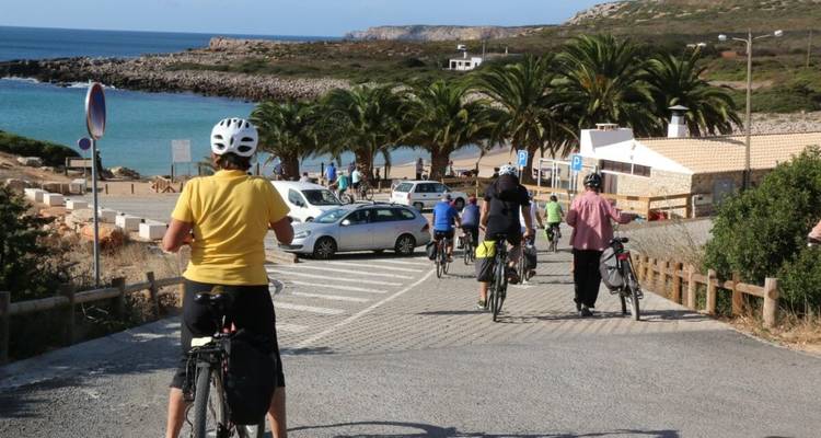 Des cyclistes descendent une route côtière vers une plage et des palmiers, avec l'océan bleu en arrière-plan
