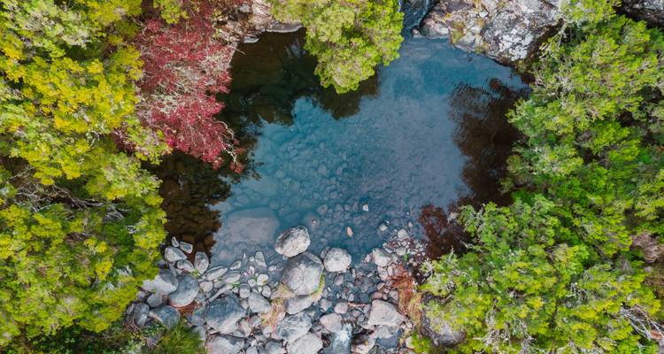 Klarer Wasserpool umgeben von üppiger Vegetation.