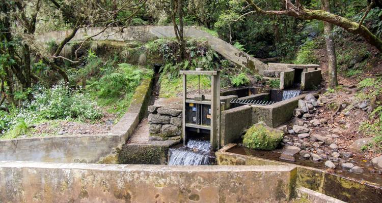 Betonbauwerk mit fließendem Wasser, gelegen in einem bewaldeten Gebiet.