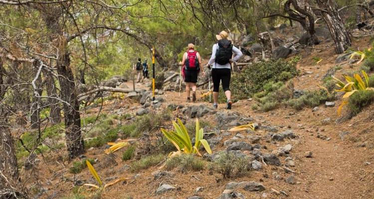 Groupe de randonneurs marchant sur un sentier forestier.