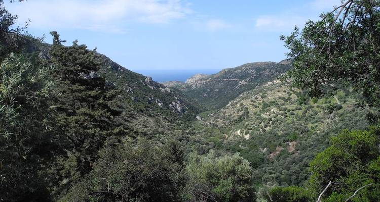Paysage de vallée avec vue lointaine sur la mer.