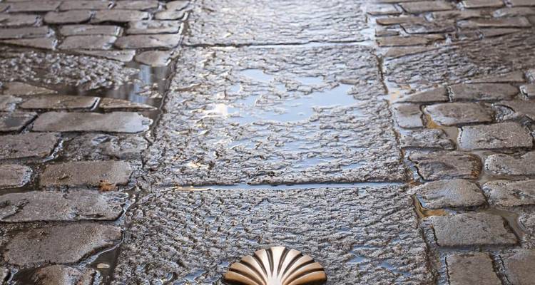 Chemin pavé humide avec symbole de coquille.