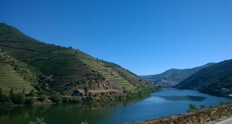 Fluss mit terrassierten Hügeln und Weinbergen.