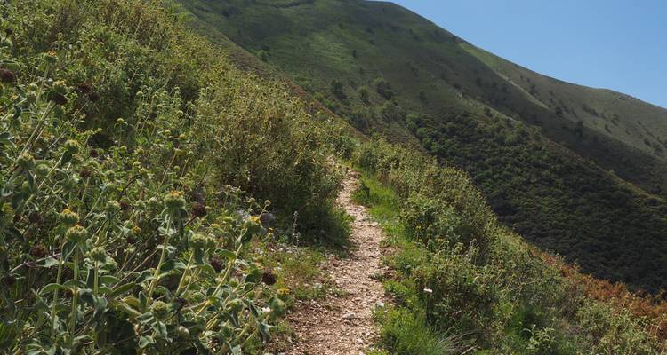 Un sentier de randonnée sur une colline avec un feuillage dense sous un ciel bleu.