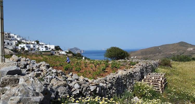 Une vue d'un paysage rural avec une personne dans un champ et la mer.
