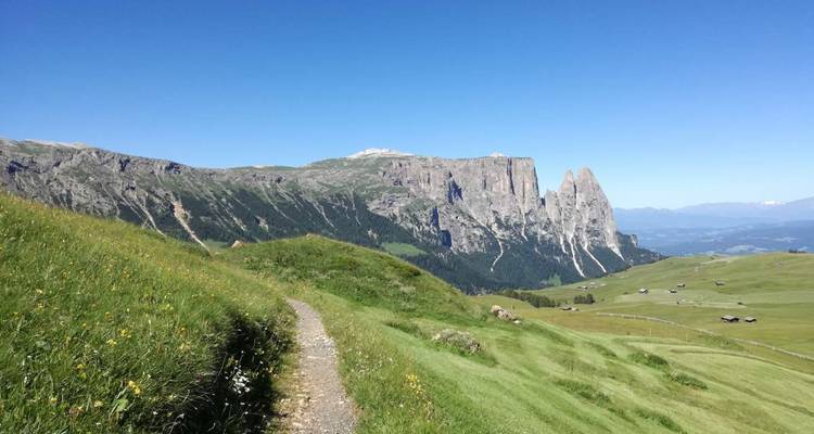 Vue panoramique d'un paysage de montagne avec sentiers.