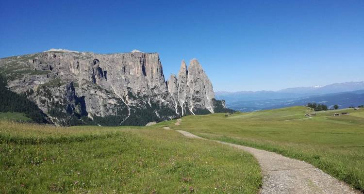 Paysage pittoresque avec des montagnes et des champs herbeux.