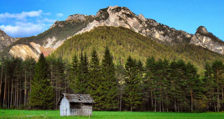 Cabane isolée avec un décor de montagne et une forêt verte.