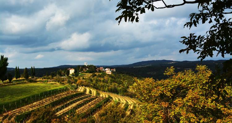 Paysage viticole avec un petit village au sommet d'une colline.