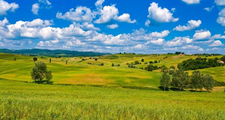 Collines verdoyantes sous un ciel bleu vibrant avec des nuages.