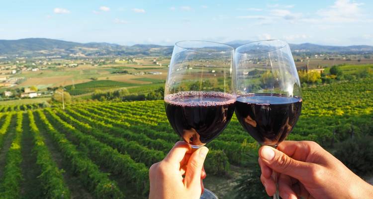 Twee handen proosten met glazen rode wijn met uitzicht op glooiende groene wijngaarden en verre heuvels.