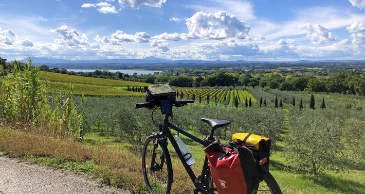 Een toerfiets met fietstassen geparkeerd naast olijfgaarden en wijngaarden met uitzicht op het Trasimenomeer onder een bewolkte hemel.