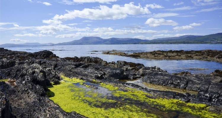Een rotsachtige kustlijn met groene heuvels en een blauwe lucht.