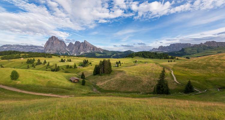 Sanfte Alpenwiesen und raue Sassolungo-Gipfel unter einem hellen, von Wolken durchzogenen Himmel.
