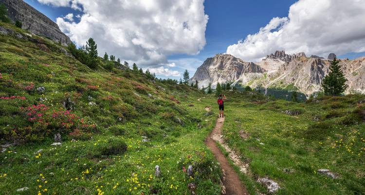 Einzelner Wanderer auf einem blumengesäumten Pfad unter zackigen Dolomitenklippen und aufgehenden Wolken.