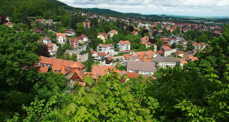 Malerische Ansicht einer Stadt mit rotbedachten Häusern, umgeben von üppigen Bäumen.