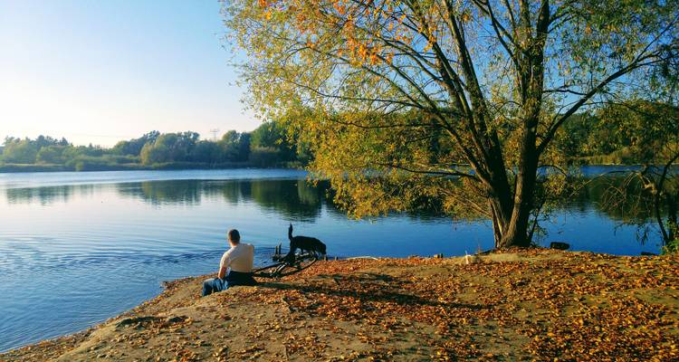 Person, die mit einem Fahrrad an einem See sitzt, umgeben von Herbstblättern.