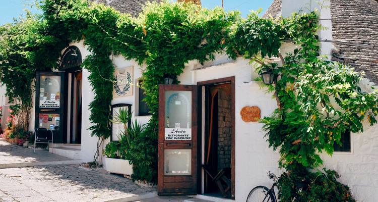 Charmante winkel met groene klimplanten die de gevel bedekken.
