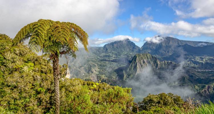 Vue panoramique d'un paysage montagneux luxuriant couvert de brume.