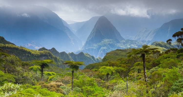 Montagnes luxuriantes et vertes enveloppées de nuages bas suspendus.