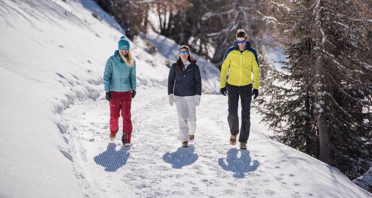 Three hikers walk up a sun-lit snowy path bordered by evergreens.