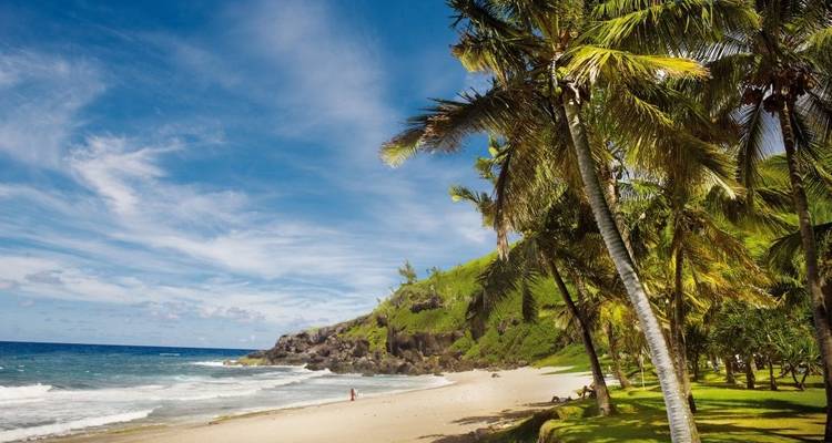 Plage tropicale avec palmiers et sable blanc.