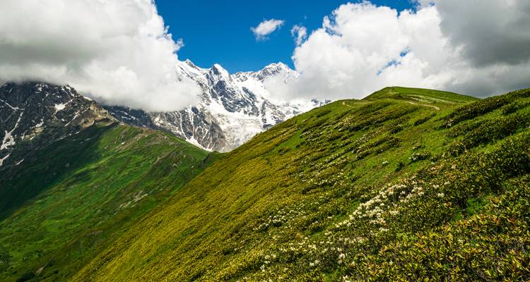 Colline verdoyante menant à des montagnes enneigées.
