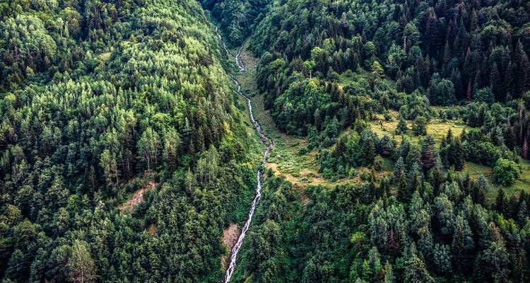 Aerial view of forested mountains with a river flowing through.