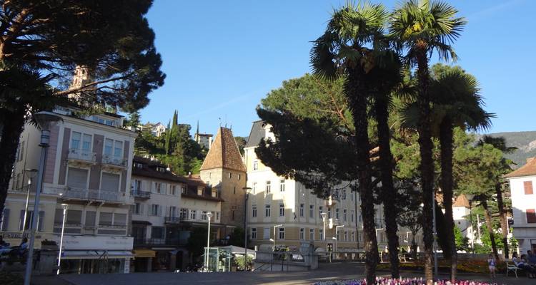 Place avec de grands palmiers et des bâtiments historiques.