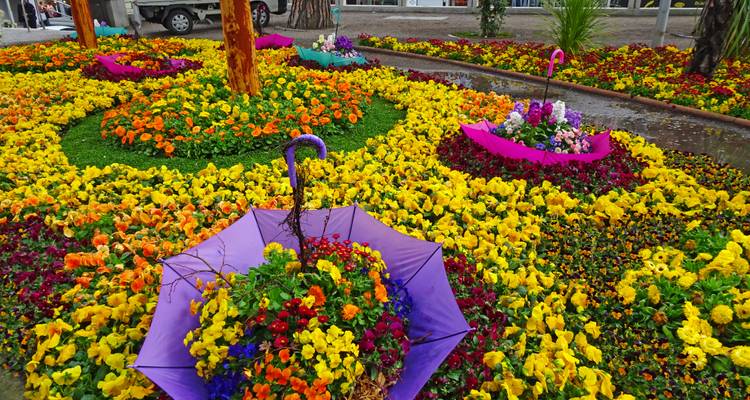 Arrangement floral coloré avec des parapluies dans un jardin.