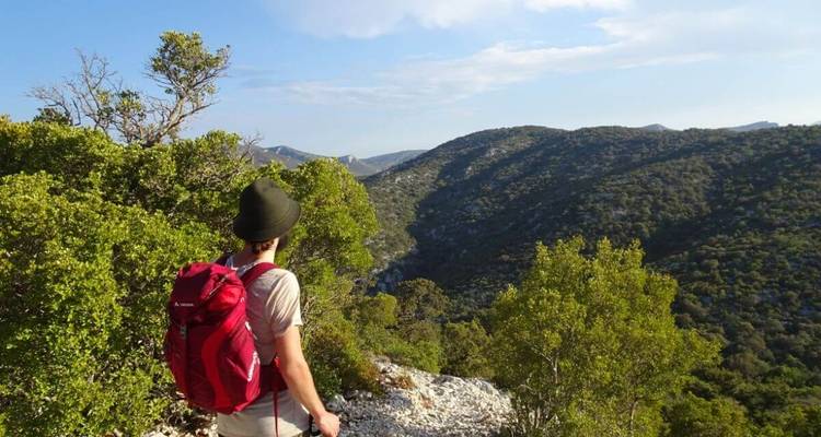 Einsamer Wanderer mit rotem Rucksack blickt über einen rauen grünen Canyon unter einem hellen Himmel.