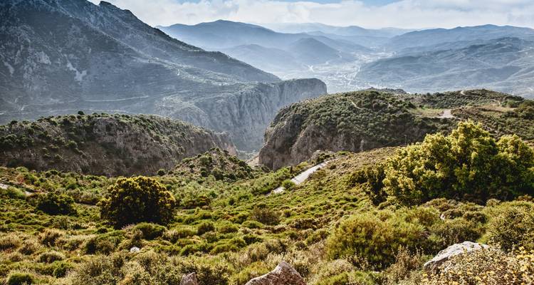 Paysage montagneux verdoyant avec une vallée lointaine.