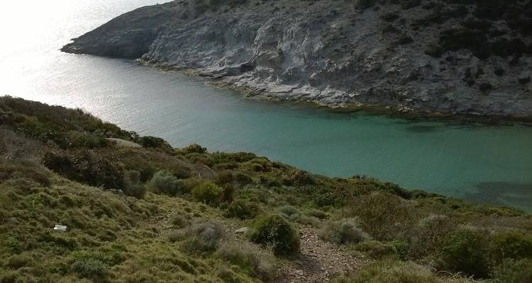 Côte rocheuse avec de la verdure et un plan d'eau.