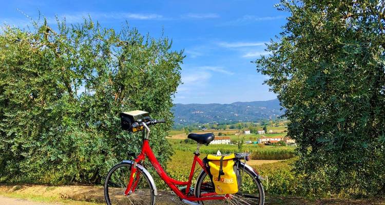 Un vélo de randonnée rouge repose contre une haie d'olivier surplombant les collines toscanes sous un ciel dégagé.