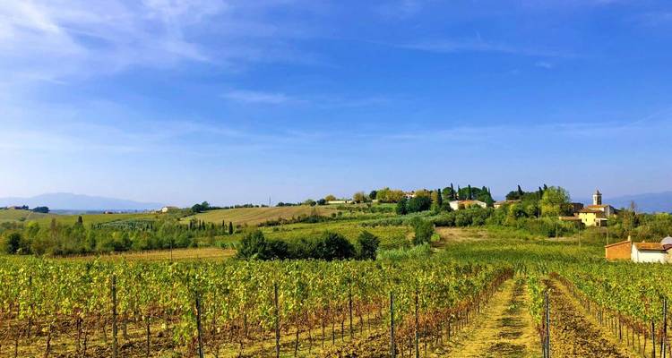 Des rangées vastes de jeunes vignes s'étendent à travers la campagne toscane doucement vallonnée sous un ciel dégagé.
