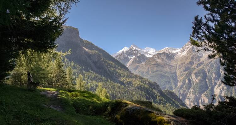 Vue sur la montagne à travers une clairière forestière avec sentier et ciel.