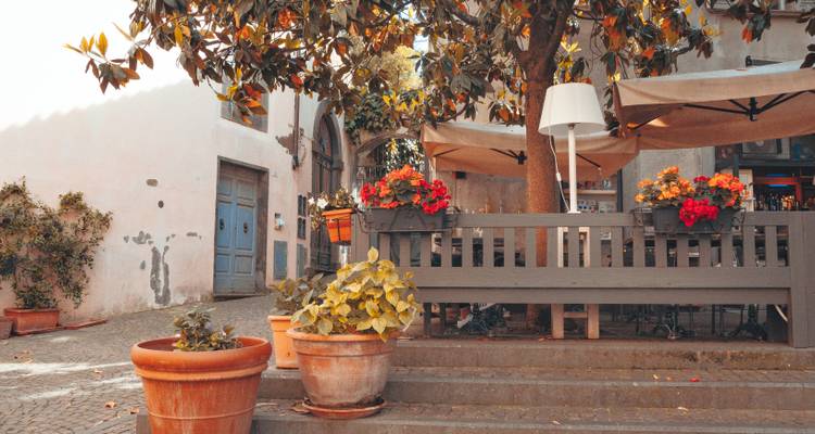 Acogedor café en un patio italiano con macetas de flores, sombrillas y luz solar filtrada entre las ramas de un árbol de magnolia.