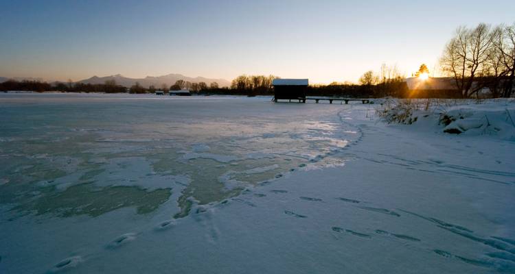 Gefrorene Seeufer bei Sonnenaufgang mit Fußabdrücken im Schnee und goldener Sonne, die über entfernten Bäumen hervorbricht.